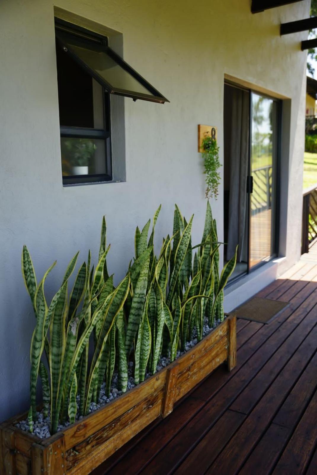 Nabana Lodge Hazyview Luaran gambar